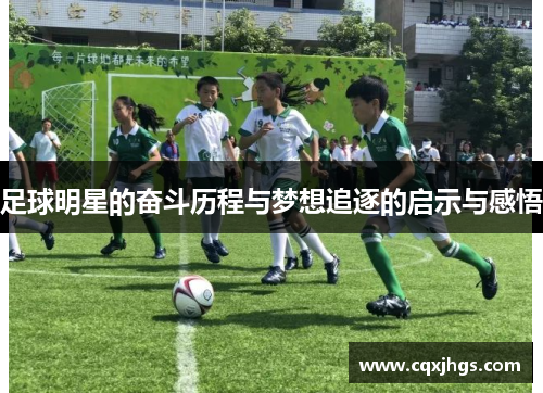 足球明星的奋斗历程与梦想追逐的启示与感悟