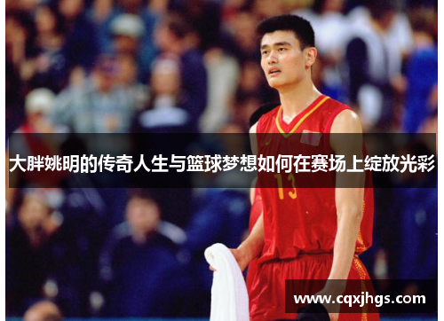 大胖姚明的传奇人生与篮球梦想如何在赛场上绽放光彩