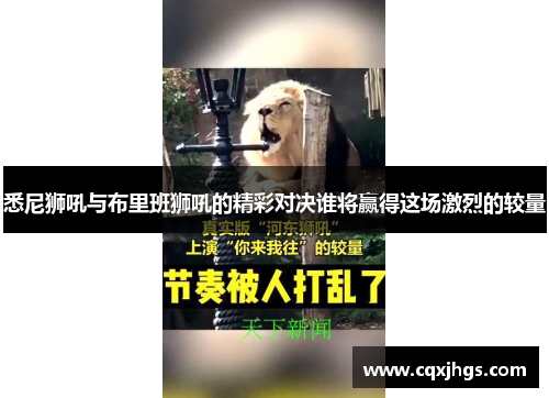 悉尼狮吼与布里班狮吼的精彩对决谁将赢得这场激烈的较量
